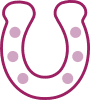 Saddle icon