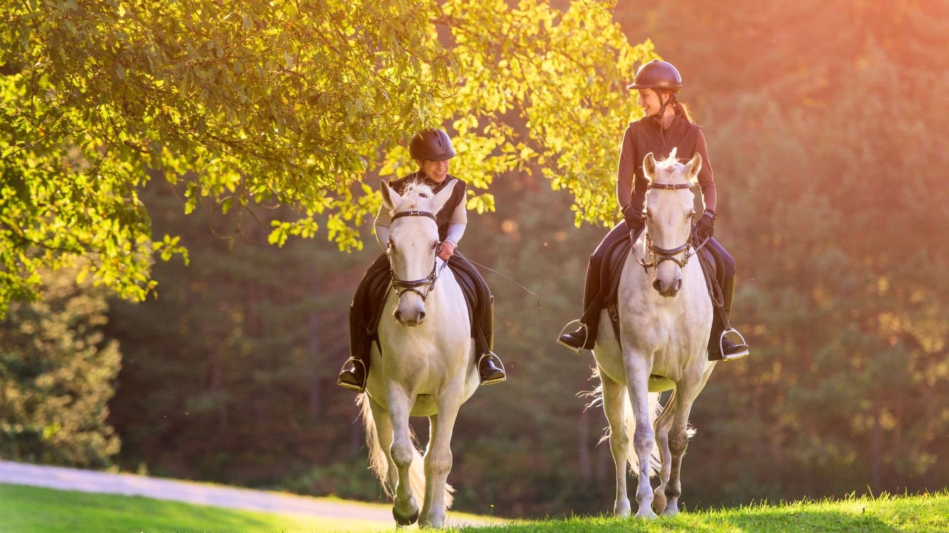 Horse Hookup Hero
